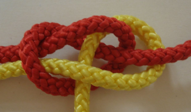 knot19c.png